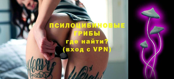 стафф Краснотурьинск