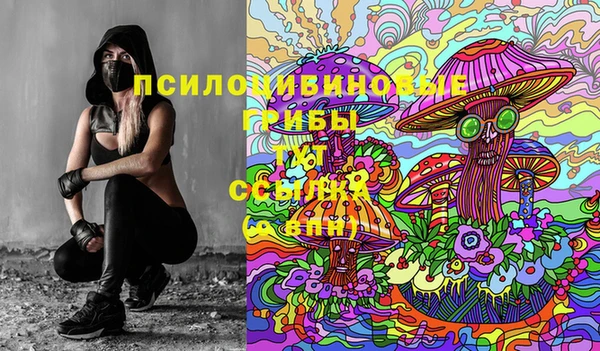 стафф Краснотурьинск