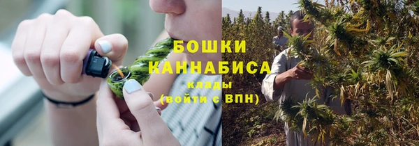 стафф Краснотурьинск