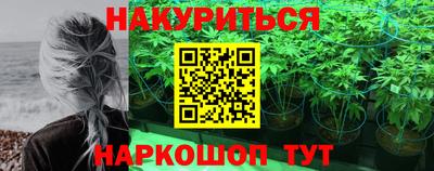 гидра Моздок