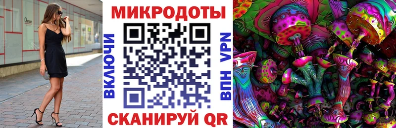 купить закладку  Чернушка  Галлюциногенные грибы Psilocybe 