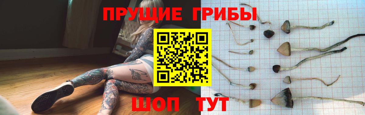 Псилоцибиновые грибы MAGIC MUSHROOMS  Вход с VPN  Чернушка 