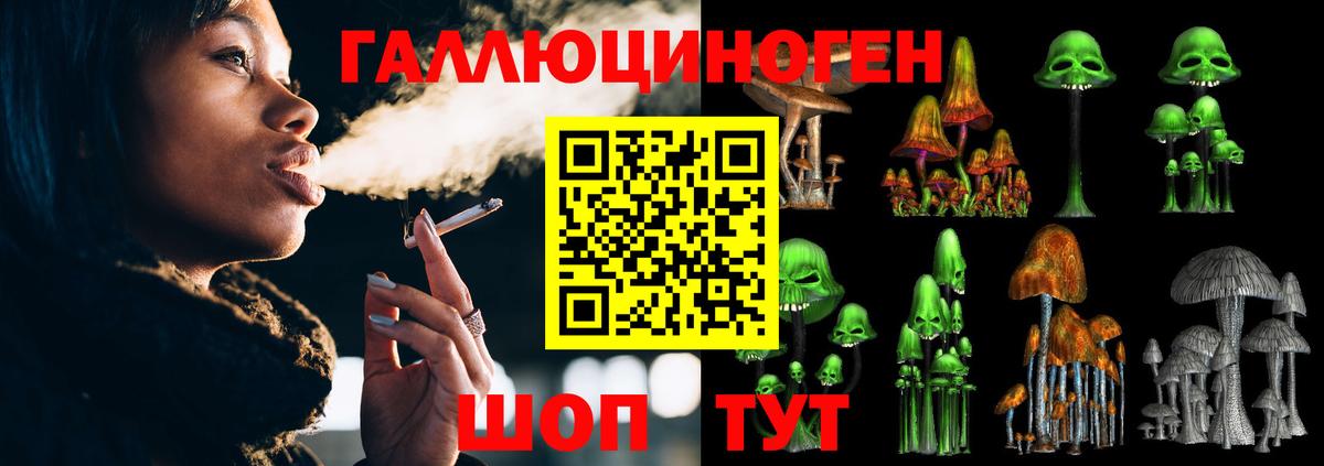 Псилоцибиновые грибы ЛСД Чернушка