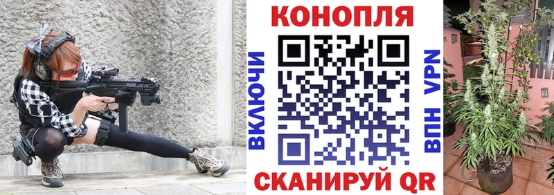 Конопля Bruce Banner  Чернушка 