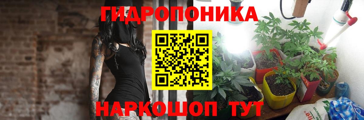 Каннабис гибрид Чернушка
